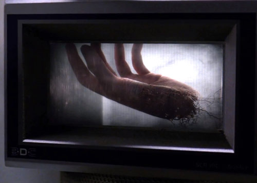 Will's Hand